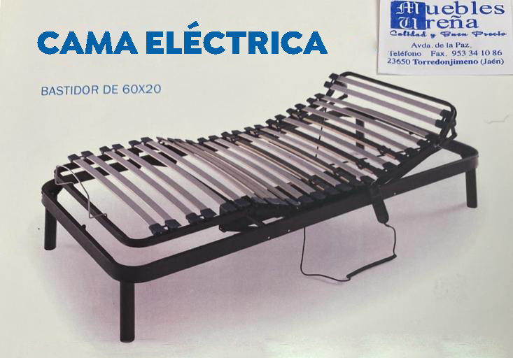 cama electrica